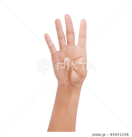 Hand showing number four isolated on white background - clipping paths Hand showing number four isolated on white background - clipping paths 85841348