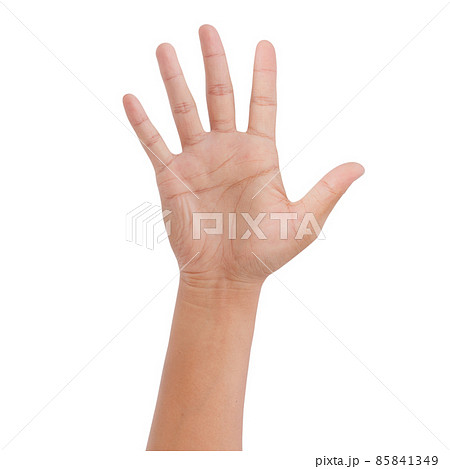 hand showing the five fingers isolated on a white background - clipping paths hand showing the five fingers isolated on a white background - clipping paths 85841349