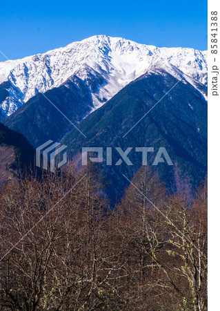 夜叉神峠からの風景 白峰三山 夜叉神峠からの風景 白峰三山 85841388