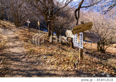 鳳凰三山の登山道　夜叉神峠への道 85841818