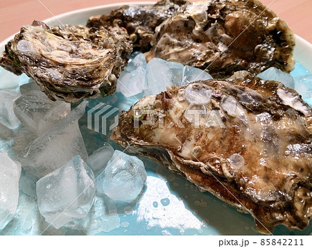 皿に盛られた殻つき牡蠣 写真素材 皿に盛られた殻つき牡蠣 写真素材 85842211