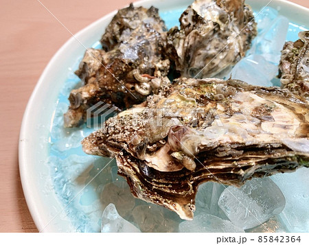 ブルーの皿に盛られた殻付き牡蠣　写真素材 85842364