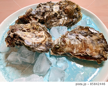 皿に盛られた殻付き牡蠣　写真素材 85842446