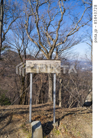 荻野高取山の山頂(東丹沢) 荻野高取山の山頂(東丹沢) 85843728