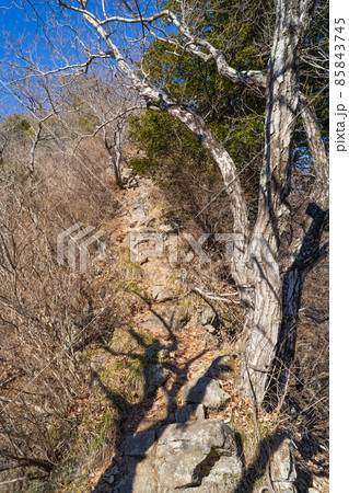仏果山の山頂付近にあるクサリ場(東丹沢) 仏果山の山頂付近にあるクサリ場(東丹沢) 85843745