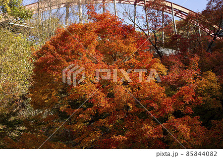 秋の庄原 秋の庄原 85844082