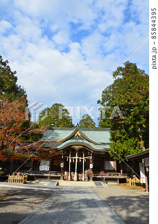 大麻比古神社の「拝殿」(徳島県鳴門市大麻町板東字広塚13) 大麻比古神社の「拝殿」(徳島県鳴門市大麻町板東字広塚13) 85844395