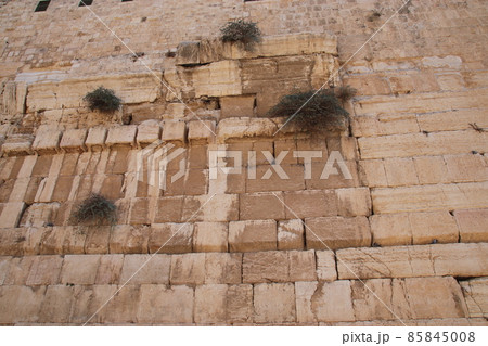 南の壁考古学博物館 南の壁考古学博物館 85845008