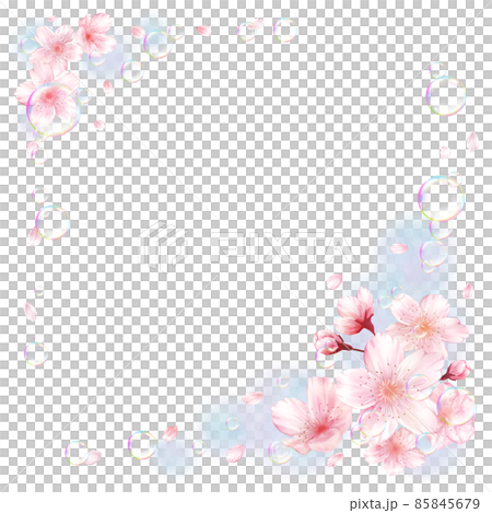 Sakura soap bubbles blue background (square) Sakura soap bubbles blue background (square) 85845679