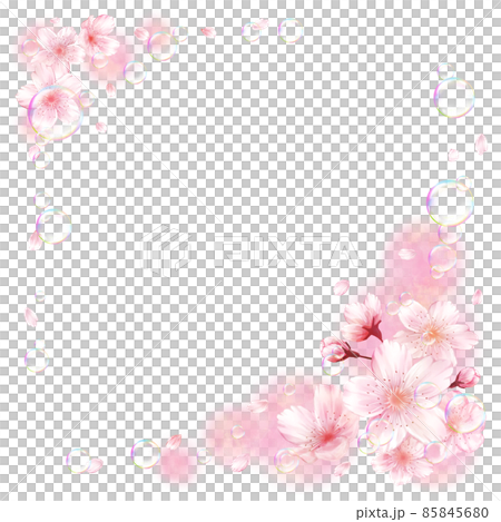 Sakura soap bubbles pink background (square) Sakura soap bubbles pink background (square) 85845680