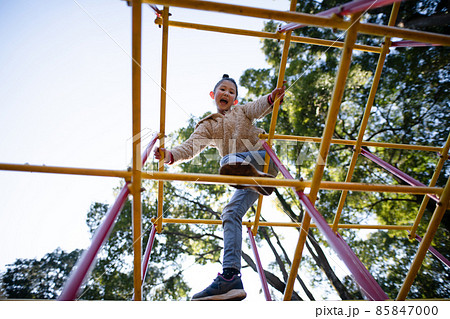 ジャングルジムで遊ぶ少女 85847000