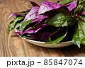 沖縄の島野菜、ハンダマ(スイゼンジナ) 85847074