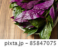 沖縄の島野菜、ハンダマ(スイゼンジナ) 85847075