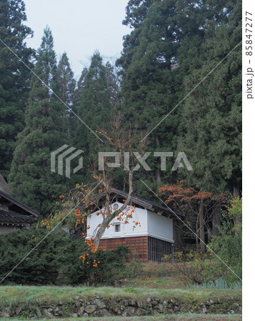 富山県南砺市　越中五箇山　晩秋の柿実る相倉合掌造りの里 85847277