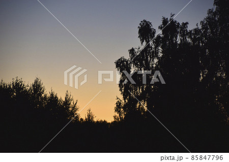 Evening moonlit rural landscape with blue sky 85847796