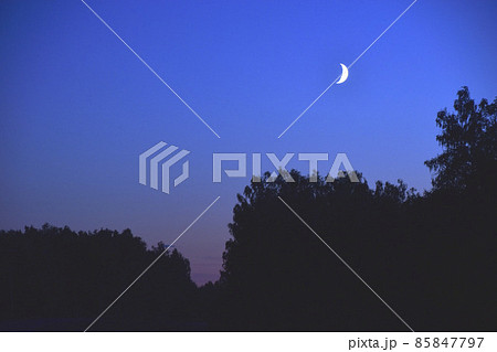 Evening moonlit rural landscape with blue sky 85847797