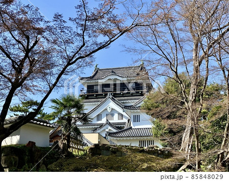 青空に映える岡崎城天守閣［岡崎城公園/愛知県岡崎市］ 85848029