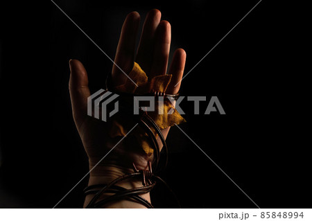 Holocaust Remembrance Day. Hand and barbed wire on black background. 85848994