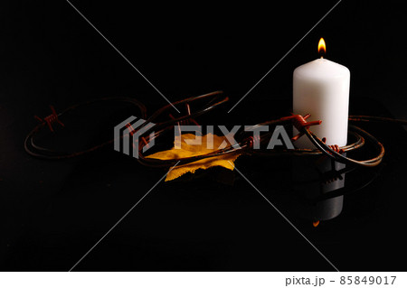 Holocaust memory day. Arbed wire and burning candle on black background Holocaust memory day. Arbed wire and burning candle on black background 85849017