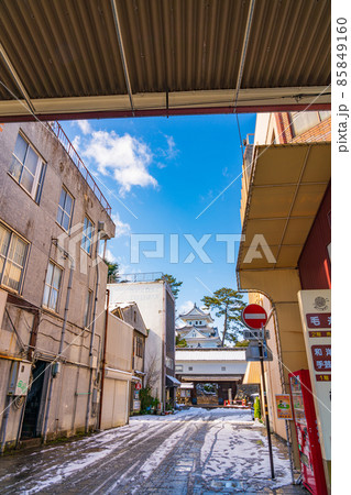 雪の大垣城〈岐阜県大垣市〉 85849160