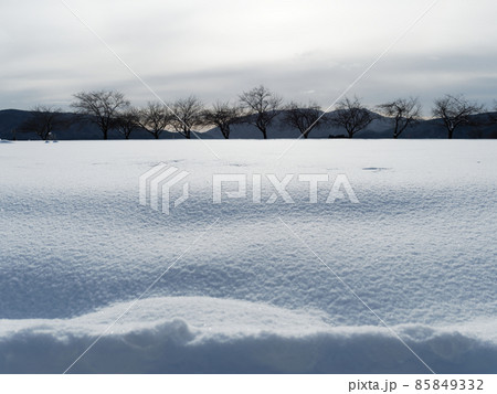 やわらかなグラテーションの雪景色 やわらかなグラテーションの雪景色 85849332