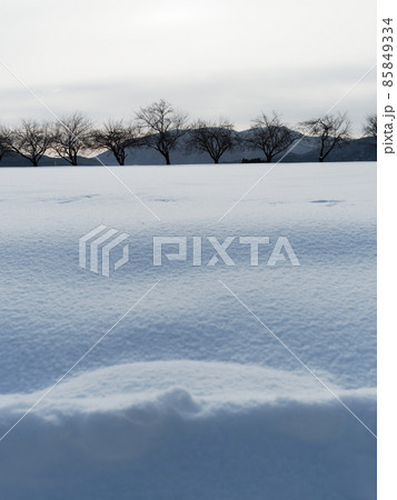 やわらかなグラテーションの雪景色 やわらかなグラテーションの雪景色 85849334