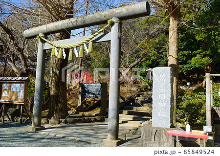 鎌倉 葛原岡神社 85849524