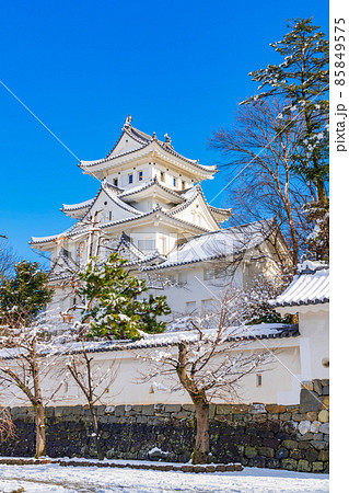 雪の大垣城〈岐阜県大垣市〉 雪の大垣城〈岐阜県大垣市〉 85849575