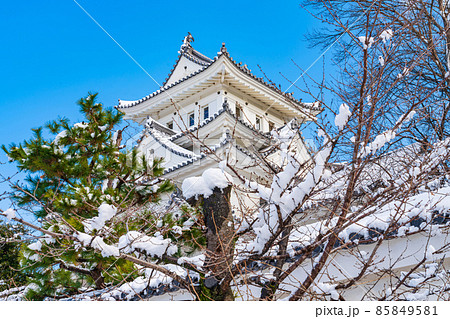 雪の大垣城〈岐阜県大垣市〉 85849581
