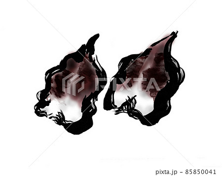 鳥貝　和風手描き筆描きイラスト素材 85850041