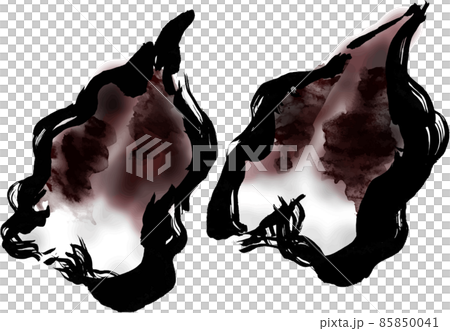 鳥貝　和風手描き筆描きイラスト素材 85850041