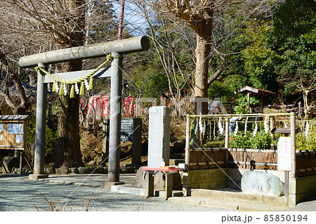 鎌倉 葛原岡神社の鳥居と魔去ル石 鎌倉 葛原岡神社の鳥居と魔去ル石 85850194