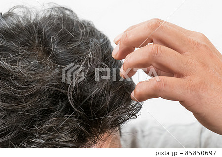白髪交じりの中年男性の頭 85850697