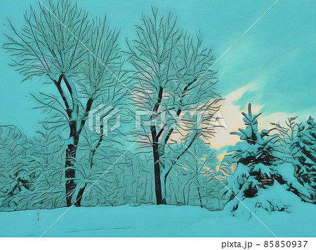 雪深い曇り空の森林 85850937