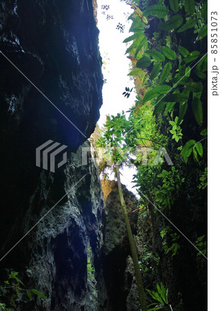 南大東島 バリバリ岩 南大東島 バリバリ岩 85851073