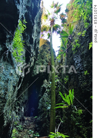 南大東島　バリバリ岩 85851074