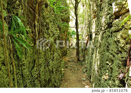 南大東島 バリバリ岩 南大東島 バリバリ岩 85851076