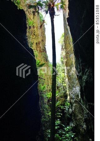 南大東島 バリバリ岩 南大東島 バリバリ岩 85851088