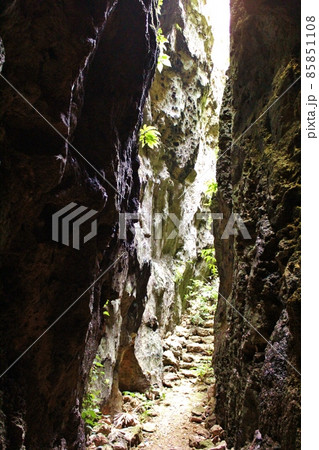 南大東島 バリバリ岩 南大東島 バリバリ岩 85851108