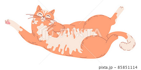 Satisfied ginger cat lies on his back upside down Satisfied ginger cat lies on his back upside down 85851114