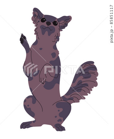 Dark dog stands on its hind legs 85851117