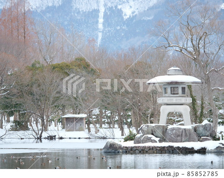 三島池石灯篭の雪化粧 三島池石灯篭の雪化粧 85852785