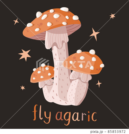Set of three fly agaric mushrooms on a dark background 85853972