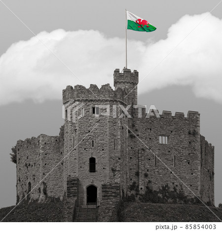 Cardiff castle in black and white Cardiff castle in black and white 85854003