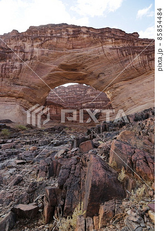 in the kingdom of saudi arabia in the kingdom of saudi arabia 85854484