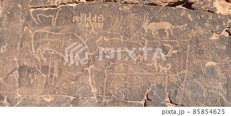 in the kingdom of saudi arabia in the kingdom of saudi arabia 85854625