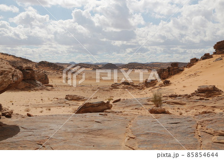 in the kingdom of saudi arabia 85854644