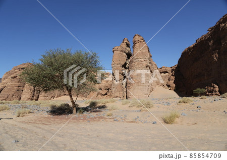 in the kingdom of saudi arabia 85854709