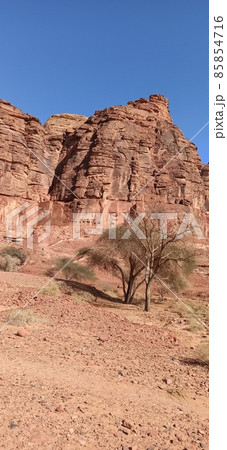 in the kingdom of saudi arabia in the kingdom of saudi arabia 85854716