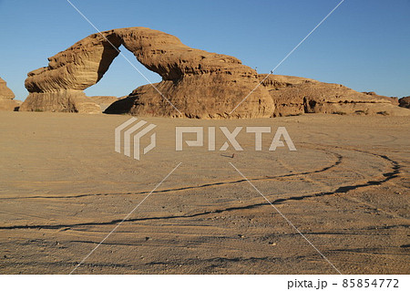 in the kingdom of saudi arabia in the kingdom of saudi arabia 85854772